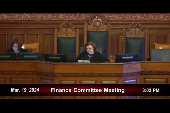3/19/2024 City Finance Committee Hearing