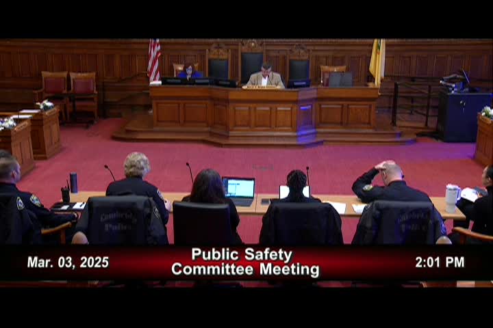 3/3/25 Public Safety Committee Meeting